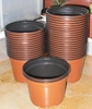 Garden Pot (Quantity 100)