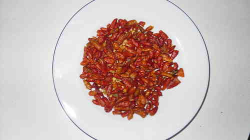 "Birdeye" Chili, Pili-pili seeds (Capsicum frutescens)