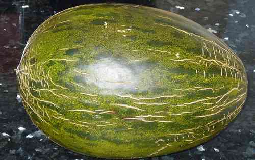 "Piel de Sapo" Melon seeds (Cucumis melo)
