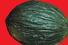 Samen grüne Tendral Melone (Cucumis melo)