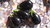 Eggplant, Aubergine "Black Round" Seeds (Solanum melongena)
