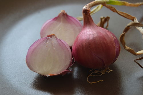Red Zalla Onion seeds (Allium cepa)