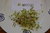 1000 Gr de Semillas de brocoli (Brassica oleracea convar. botrytis) Germinados
