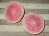 Guava Seeds (Psidium guajava)