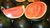 Samen Wassermelone (Citrullus lanatus) sugar baby