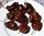 Chocolate Habanero Seeds (Capsicum Chinense)
