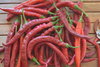 Pimiento de la Vera, pepper Seeds (Capsicum annuum)