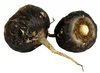Semillas de Maca negra  (Lepidium meyenii)