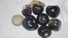 seeds purple Tomatillos (Physalis ixocarpa)